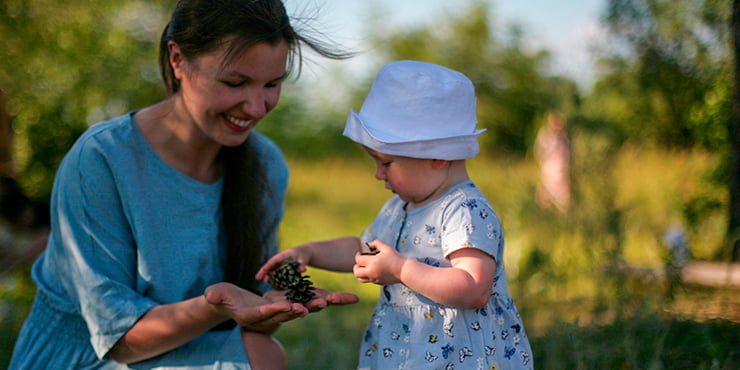 Земля под родовые поместья